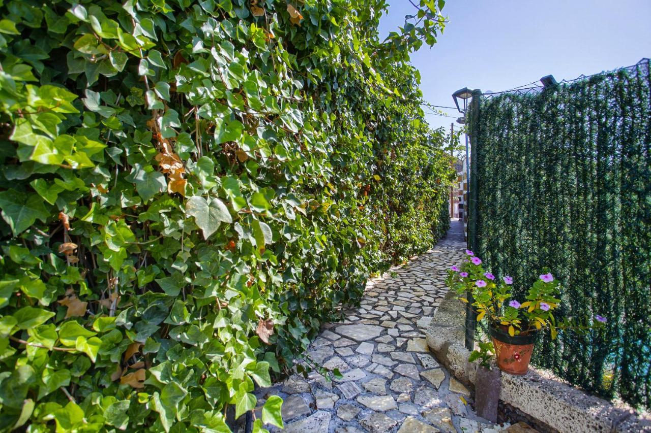 Romantic Hamlet Cottage With Private Pool La Fragua De Eliseo كانديلاريا المظهر الخارجي الصورة