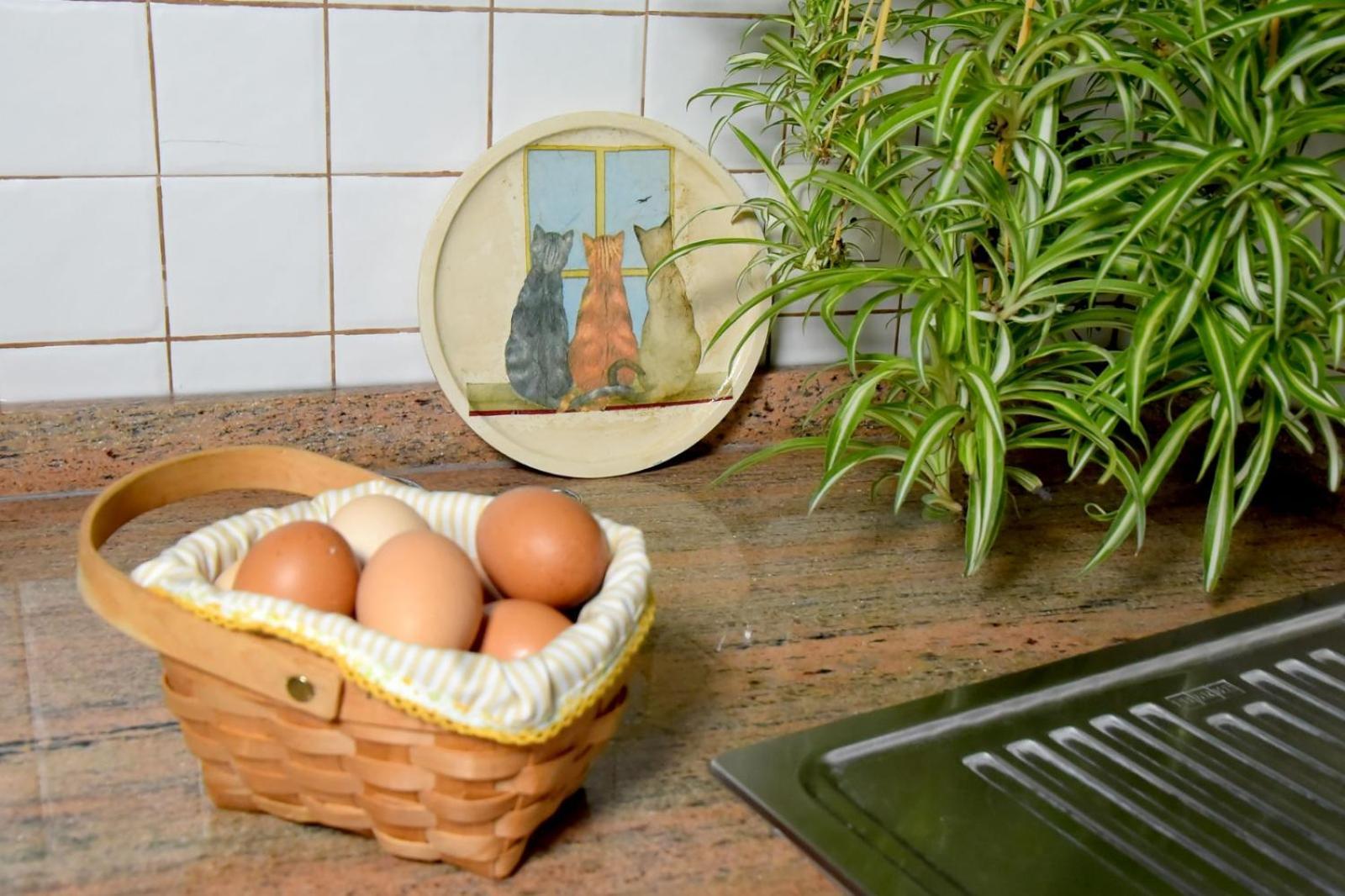 Romantic Hamlet Cottage With Private Pool La Fragua De Eliseo كانديلاريا المظهر الخارجي الصورة