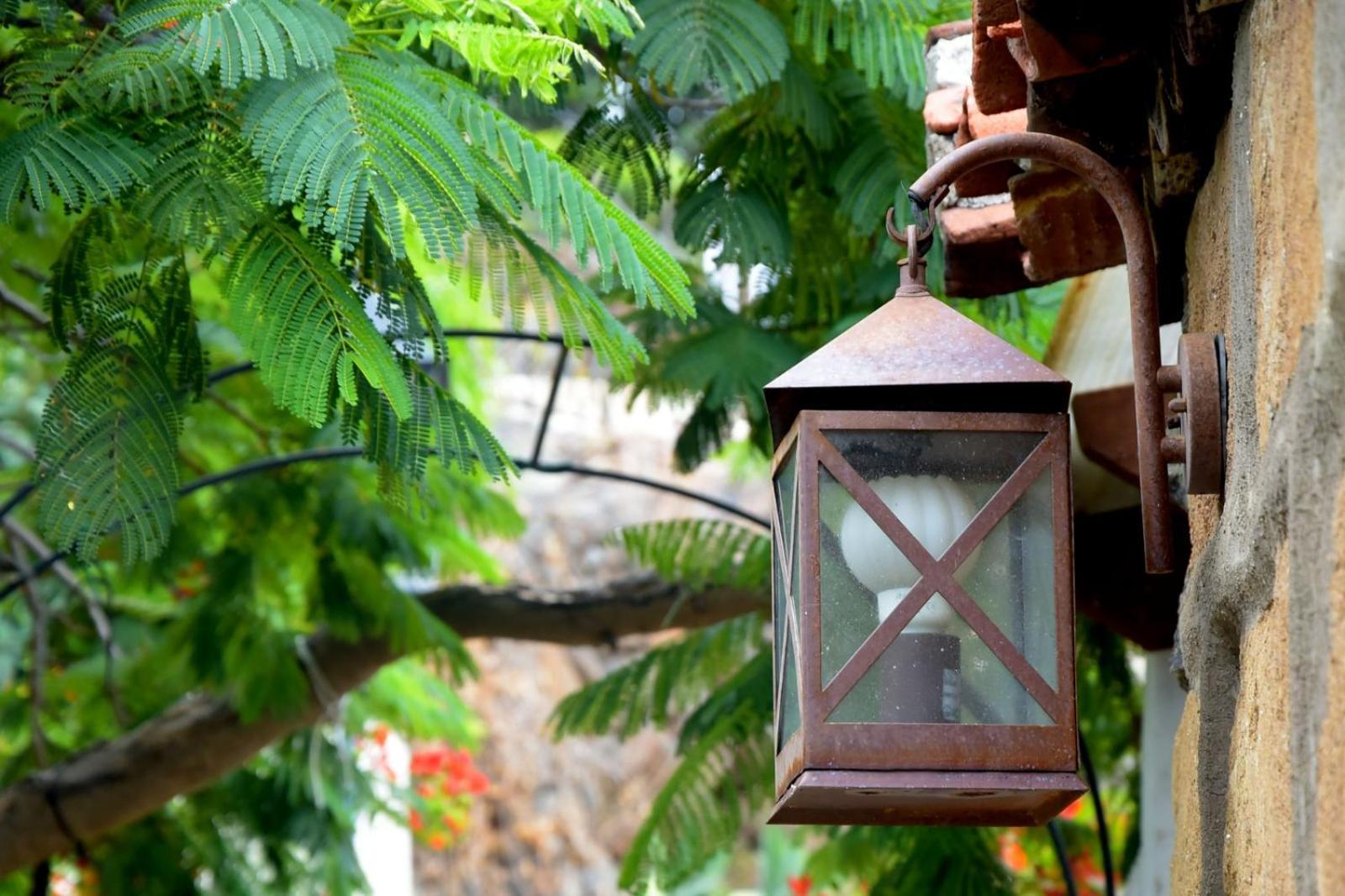 Romantic Hamlet Cottage With Private Pool La Fragua De Eliseo كانديلاريا المظهر الخارجي الصورة